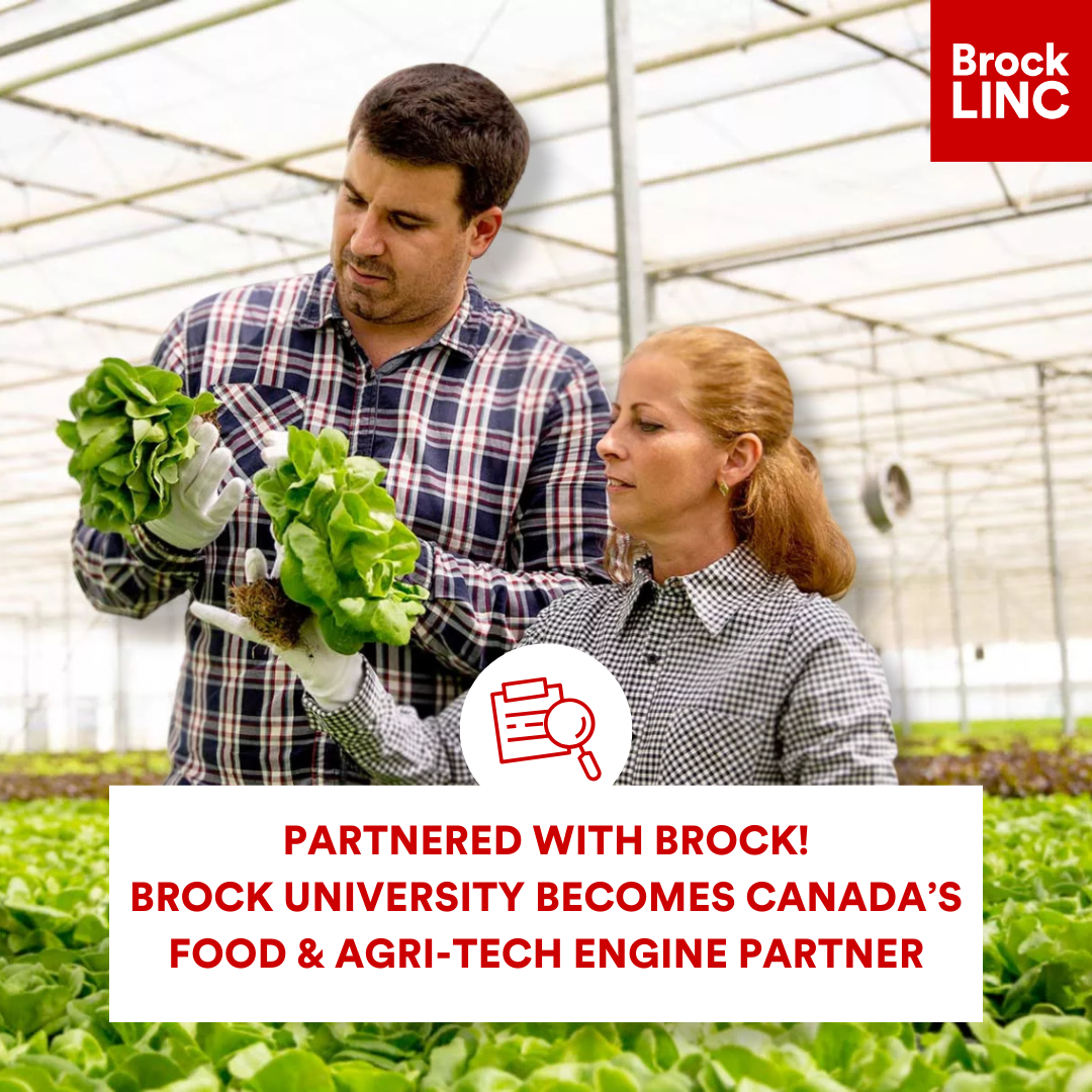 Brock LINC marketing